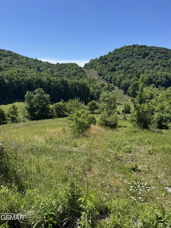 370 Doane Road, New Market, TN 37820