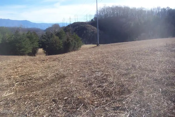 4 Jake Thomas Road, Pigeon Forge, TN 37863