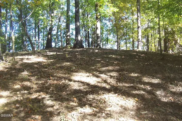 4 Jake Thomas Road, Pigeon Forge, TN 37863