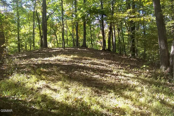 4 Veterans Blvd, Pigeon Forge, TN 37863