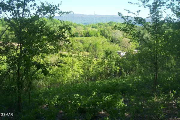 1 Chapman Highway, Seymour, TN 37865