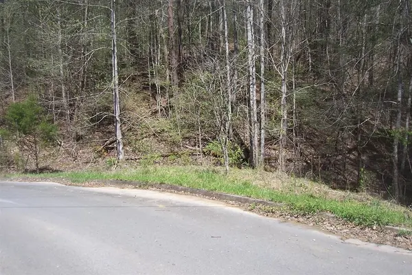 9 Rail Hill Lane, Sevierville, TN 37876