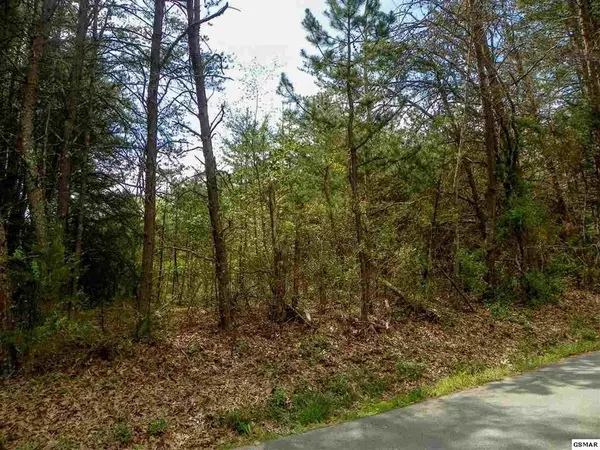 9 Rail Hill Lane, Sevierville, TN 37876