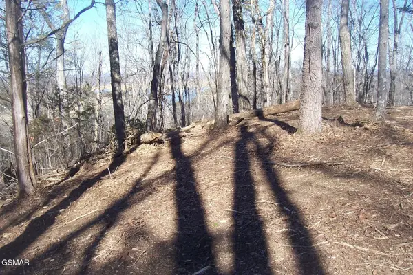798 Fairgarden Circle, Sevierville, TN 37876