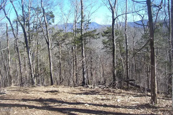 798 Fairgarden Circle, Sevierville, TN 37876
