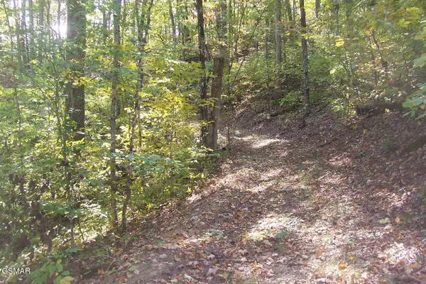 798 Fairgarden Circle, Sevierville, TN 37876