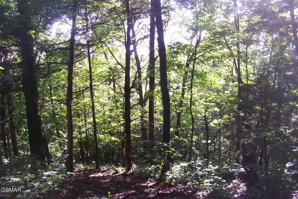 27 Splendor Way, Parrottsville, TN 37843