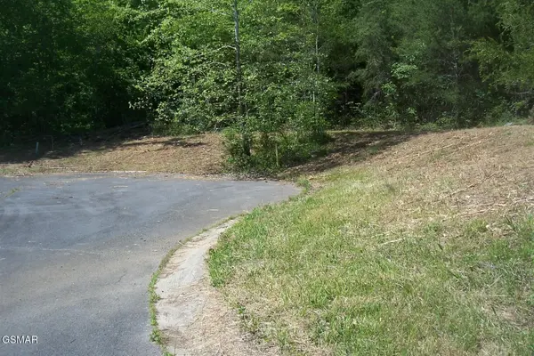 28 Splendor Way, Parrottsville, TN 37843