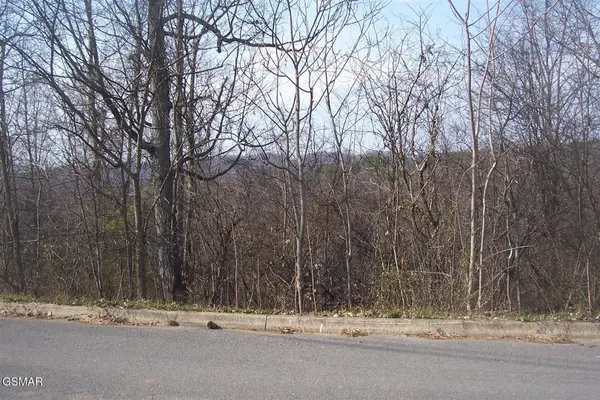 142 Low Valley Road, Dandridge, TN 37725