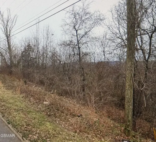 142 Low Valley Road, Dandridge, TN 37725