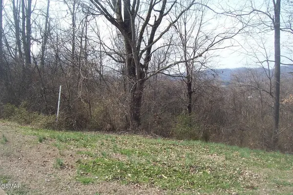 141 Low Valley Rd, Dandridge, TN 37725