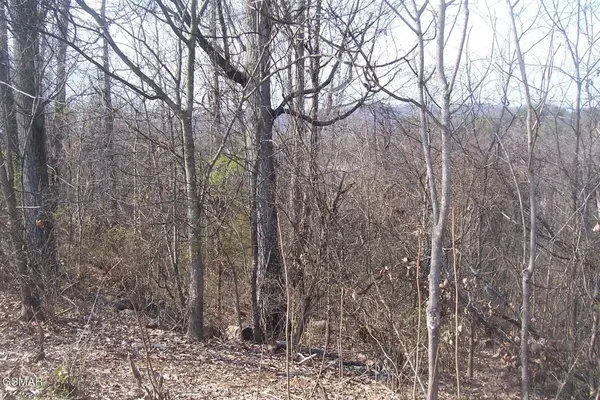 141 Low Valley Rd, Dandridge, TN 37725