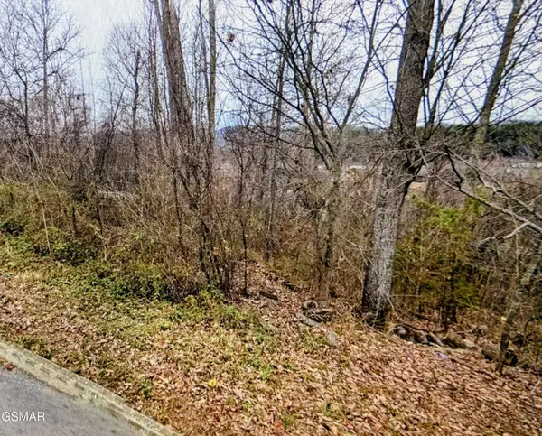 141 Low Valley Rd, Dandridge, TN 37725