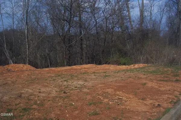 141 Low Valley Rd, Dandridge, TN 37725