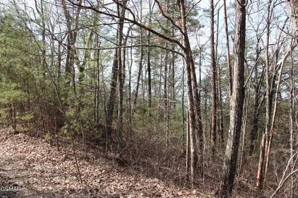 19 Ridge View Drive, Sevierville, TN 37876