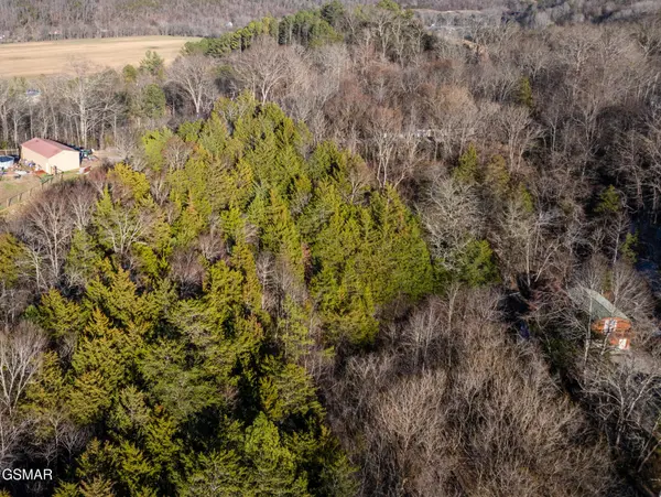 36 Mountain Drive, Sevierville, TN 37876