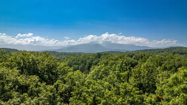 11 Spring Hill Drive, Sevierville, TN 37876