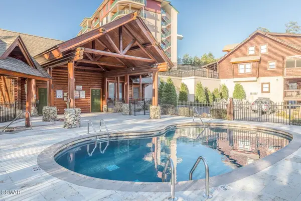 336 Big Bear Way, Pigeon Forge, TN 37863