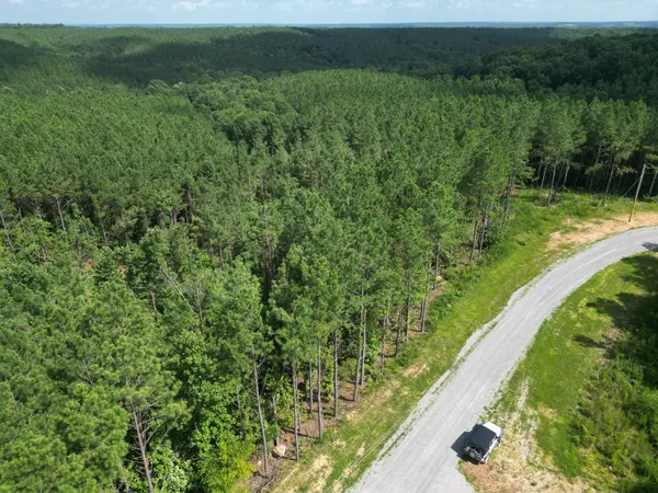 153 Beach Rd, Hohenwald, TN 38462