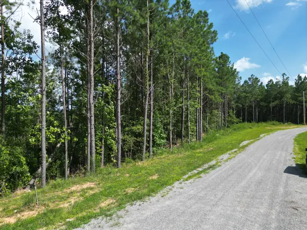 153 Beach Rd, Hohenwald, TN 38462