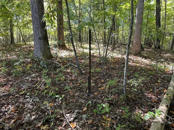 411412 Smith Road, Spring City, TN 37381