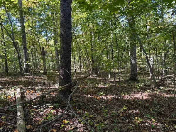 411 Smith Road, Spring City, TN 37381