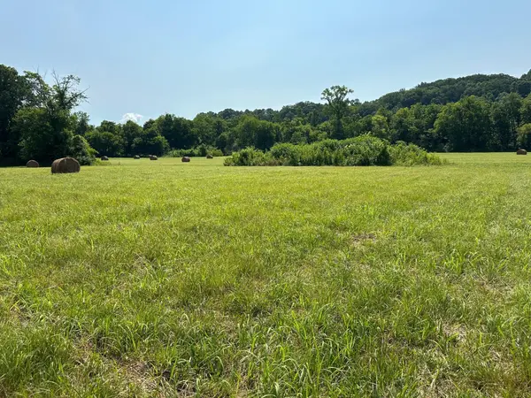 0 Hensley Wilson Lane, Evensville, TN 37332