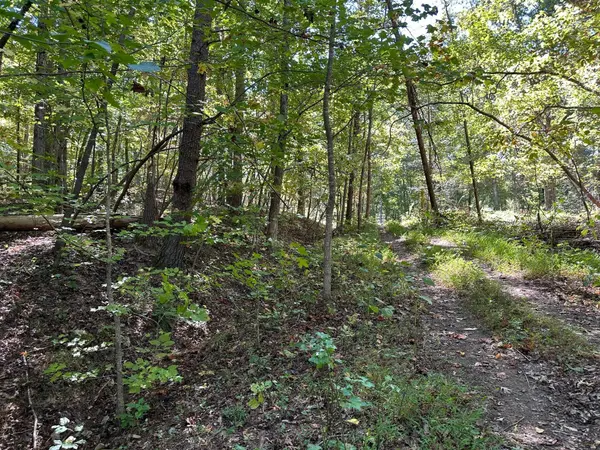 353 Diana Drive, Spring City, TN 37381