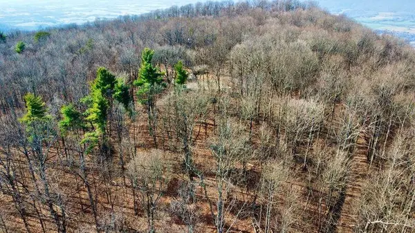 654 Briley Road, Spring City, TN 37381