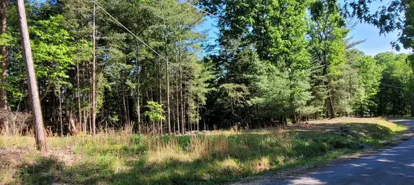 123 Dogwood Court, Spring City, TN 37381