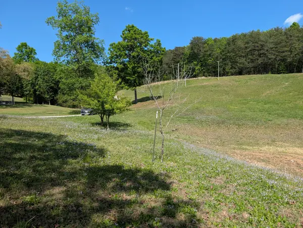 135 Garren Hart Lane, Spring City, TN 37381