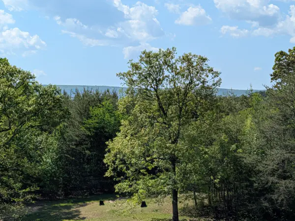 135 Garren Hart Lane, Spring City, TN 37381