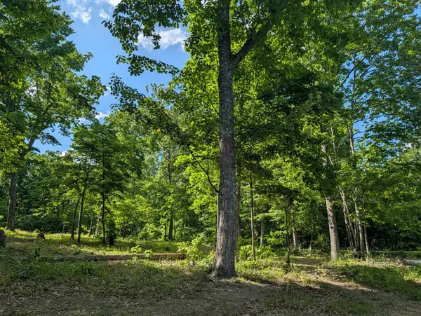 9495 Red Oak Lane, Spring City, TN 37381