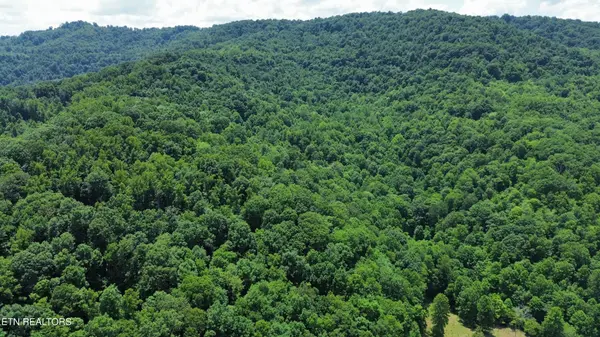 0 Lick Creek Lane, La Follette, TN 37766