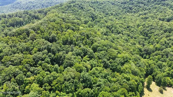 0 Lick Creek Lane, La Follette, TN 37766