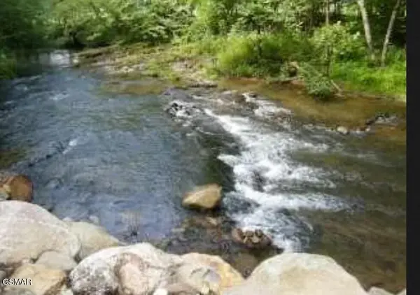 222 Limestone Way, Cosby, TN 37722