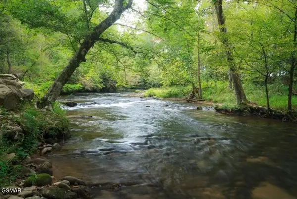 222 Limestone Way, Cosby, TN 37722
