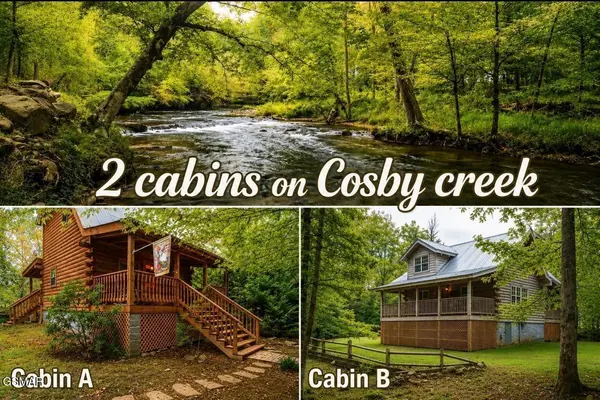 222 Limestone Way, Cosby, TN 37722