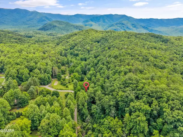 5236 Mathis Branch Road, Cosby, TN 37722