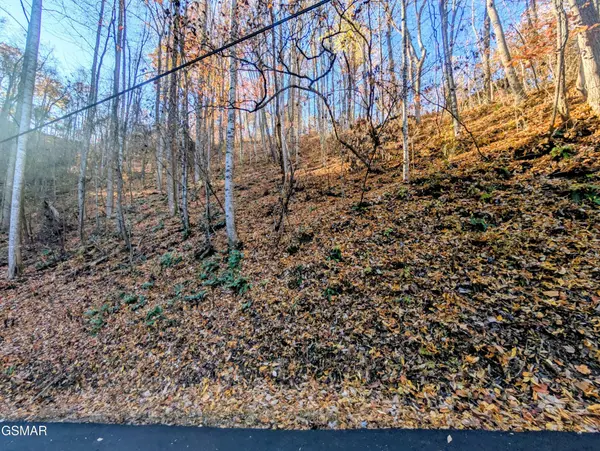 339 Ridgefield Drive, Sevierville, TN 37876