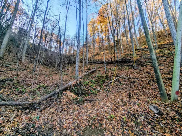 339 Ridgefield Drive, Sevierville, TN 37876