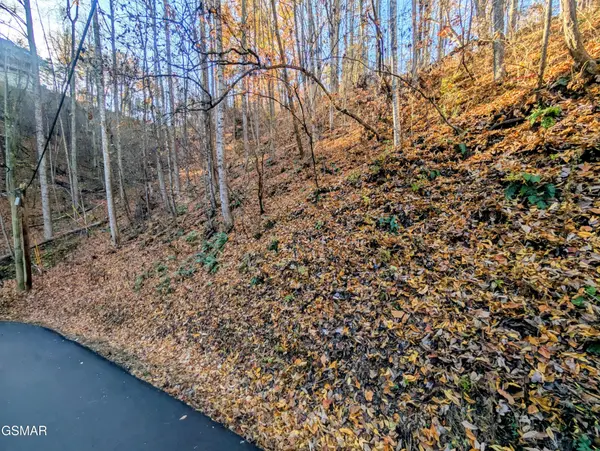 339 Ridgefield Drive, Sevierville, TN 37876