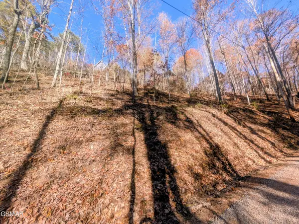 177 Tsali Drive, Sevierville, TN 37876