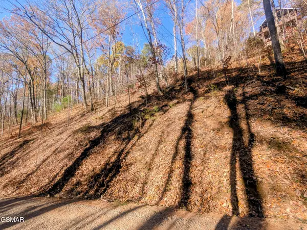 177 Tsali Drive, Sevierville, TN 37876