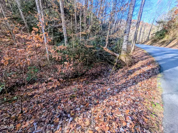 1908 Rose Pass, Sevierville, TN 37876
