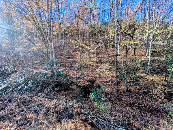 1908 Rose Pass, Sevierville, TN 37876