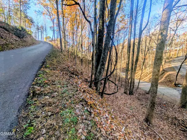 194 Ski View Lane, Sevierville, TN 37876