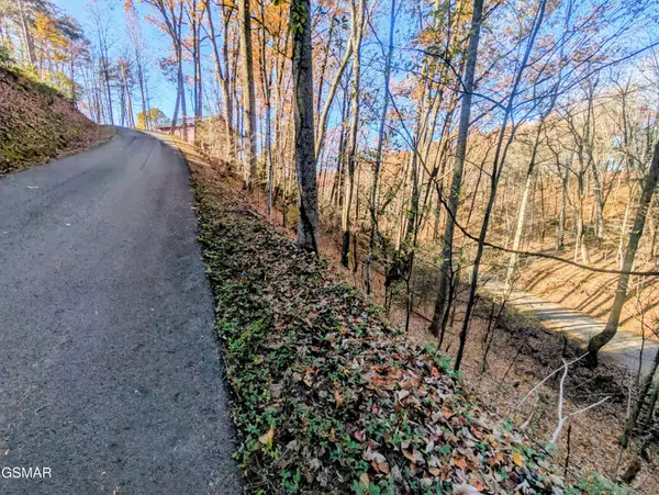 194 Ski View Lane, Sevierville, TN 37876
