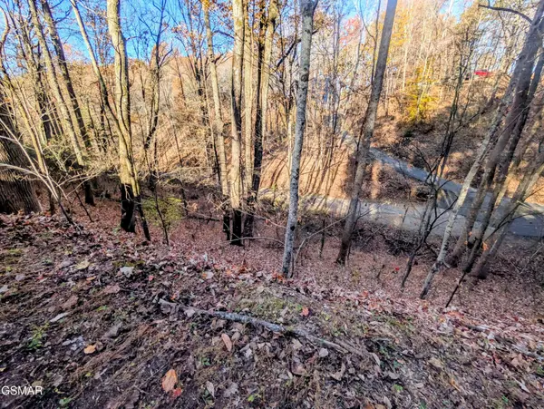 194 Ski View Lane, Sevierville, TN 37876