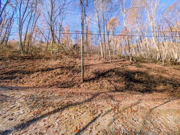 1272 Raymond Hollow Road, Sevierville, TN 37876